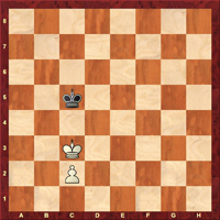 Bauernendspiele