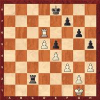 fischersherwin